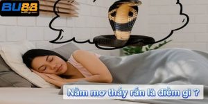 Khám phá những điềm báo tốt lành và cơ hội khi nằm mơ thấy rắn