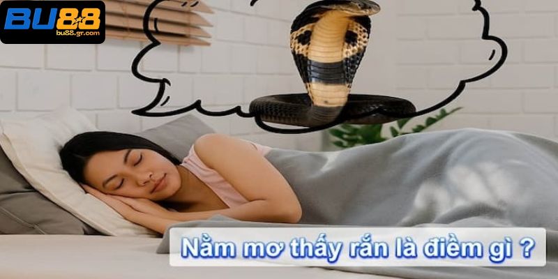 Khám phá những điềm báo tốt lành và cơ hội khi nằm mơ thấy rắn